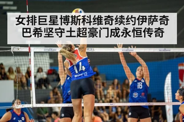 volleyball match action